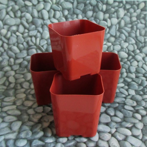 2" plastic pots