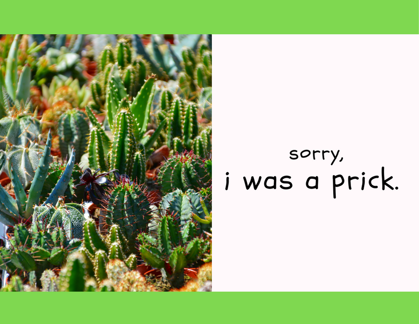sorry i was a prick greeting card