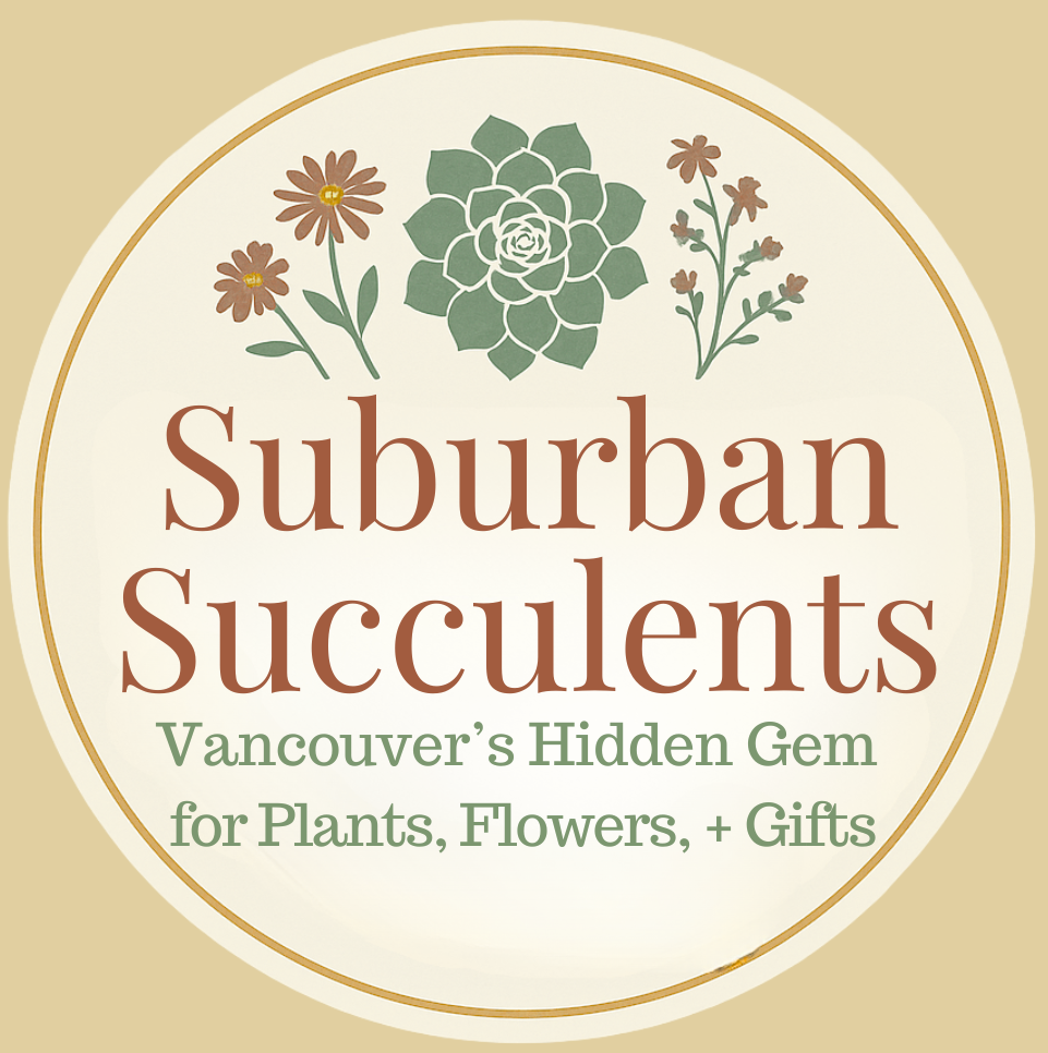 Suburban Succulents logo